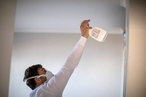 Best Preventive Mold Services in Greenville, TX