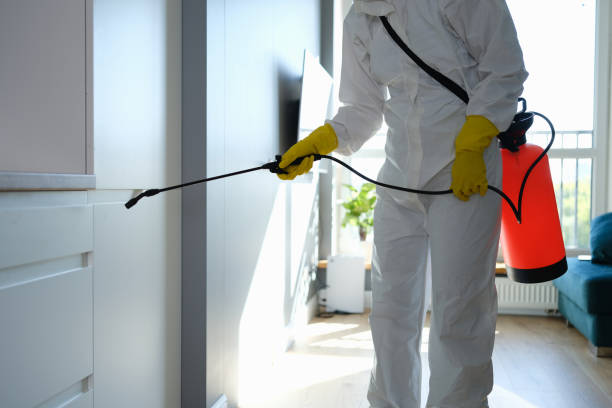 Greenville, TX Mold Remediation Company